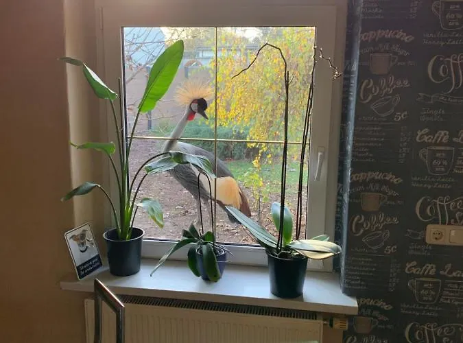 Yourhome-pm Apartamento